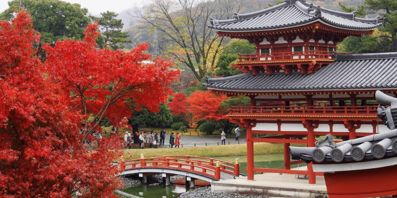 Bí quyết tiết kiệm chi phí khi du lịch bụi Nhật Bản