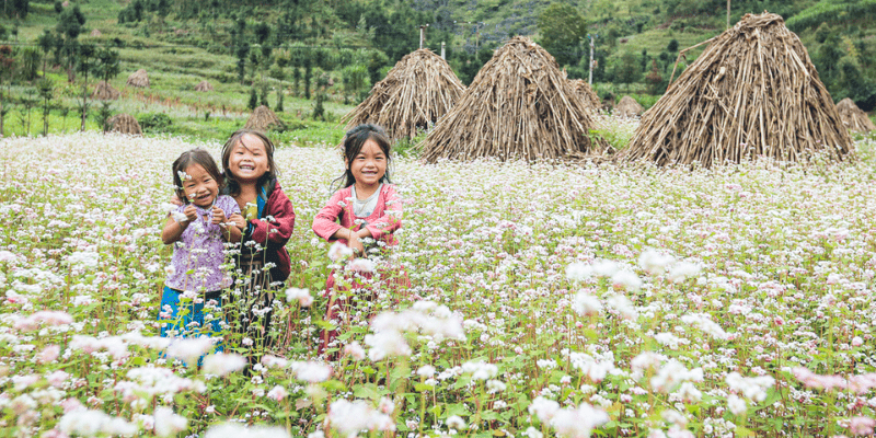 Các địa điểm không thể bỏ qua khi du lịch Hà Giang tự túc