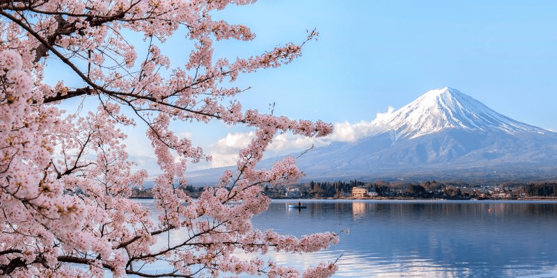 Các địa điểm thú vị nhất định phải ghé thăm