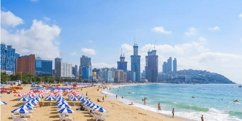 Chuẩn bị gì khi du lịch Busan tự túc