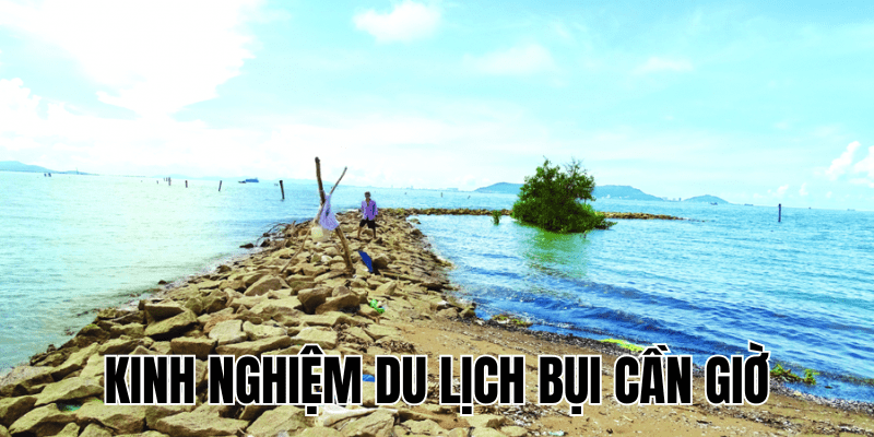 Kinh Nghiệm Du Lịch Bụi Cần Giờ