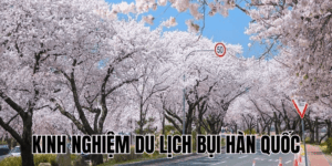 Kinh Nghiệm Du Lịch Bụi Hàn Quốc