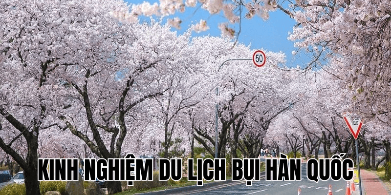 Kinh Nghiệm Du Lịch Bụi Hàn Quốc