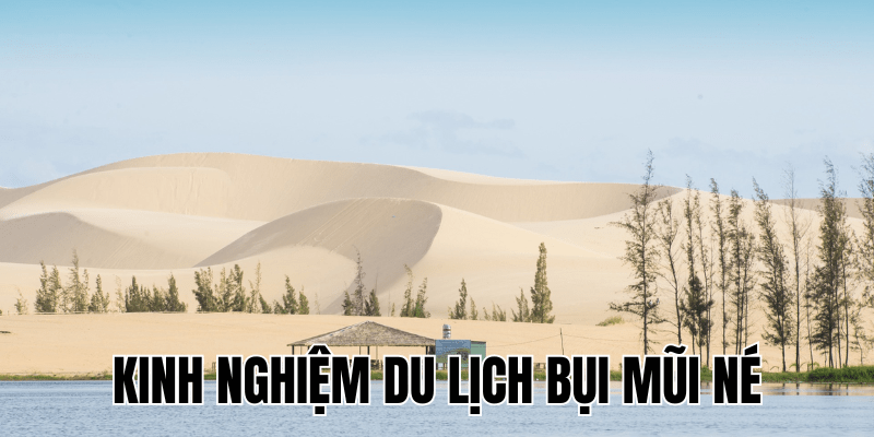Kinh Nghiệm Du Lịch Bụi Mũi Né