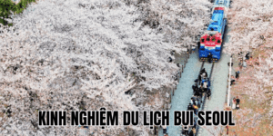 Kinh Nghiệm Du Lịch Bụi Seoul