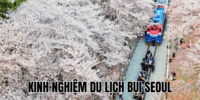 Kinh Nghiệm Du Lịch Bụi Seoul