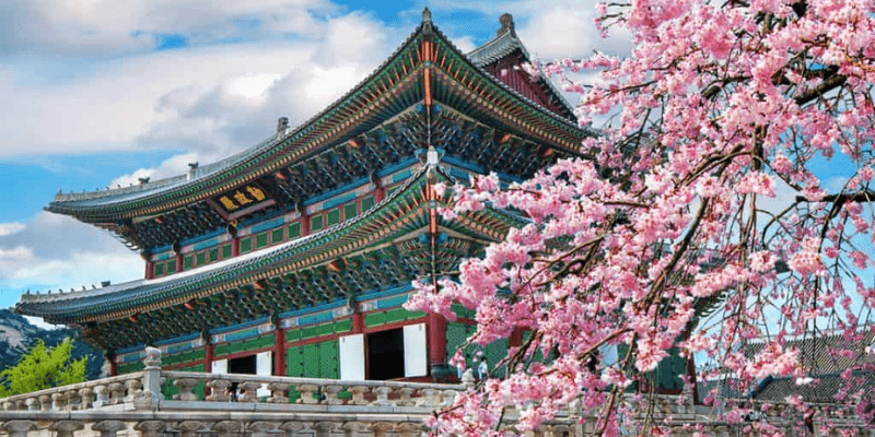 Kinh nghiệm du lịch Hàn Quốc tự túc Chuẩn bị gì cho chuyến đi