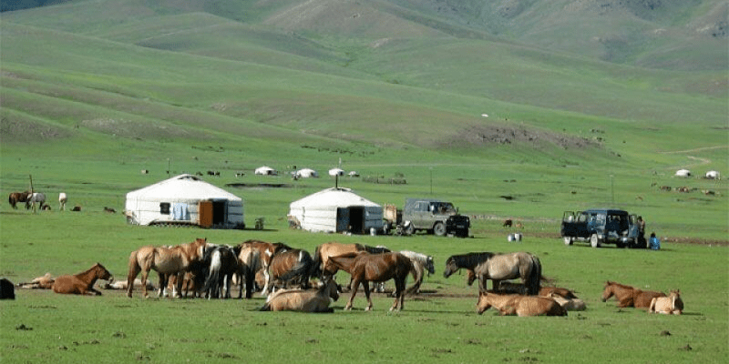 Kinh nghiệm du lịch Mông Cổ tự túc Phương tiện di chuyển