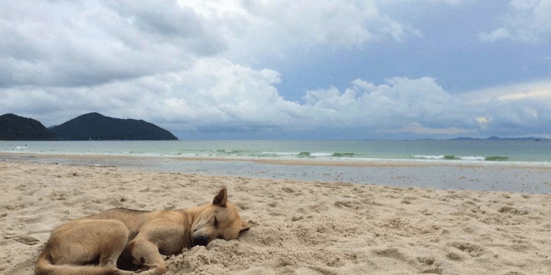 Kinh nghiệm du lịch Quan Lạn tự túc nên đi vào thời gian nào