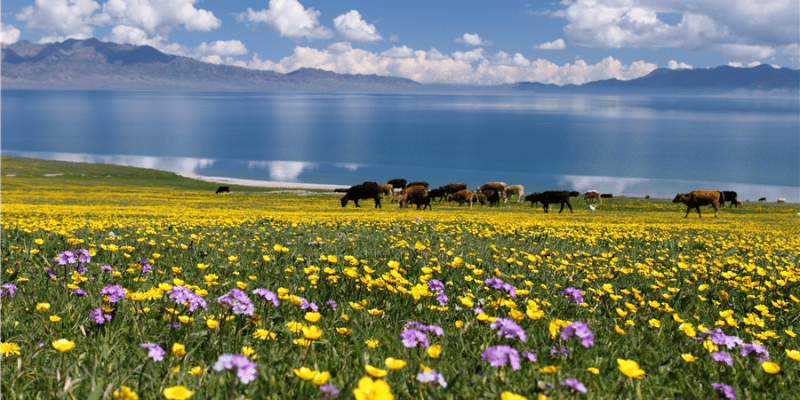 Kinh nghiệm du lịch Tân Cương tự túc cần chuẩn bị gì