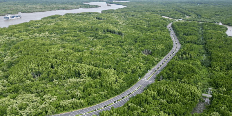 Kinh nghiệm du lịch bụi Cần Giờ  Thời điểm lý tưởng để du lịch bụi Cần Giờ