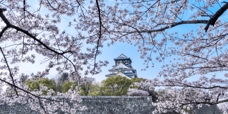 Kinh nghiệm du lịch ở Osaka tự túc  Thời điểm lý tưởng nhất