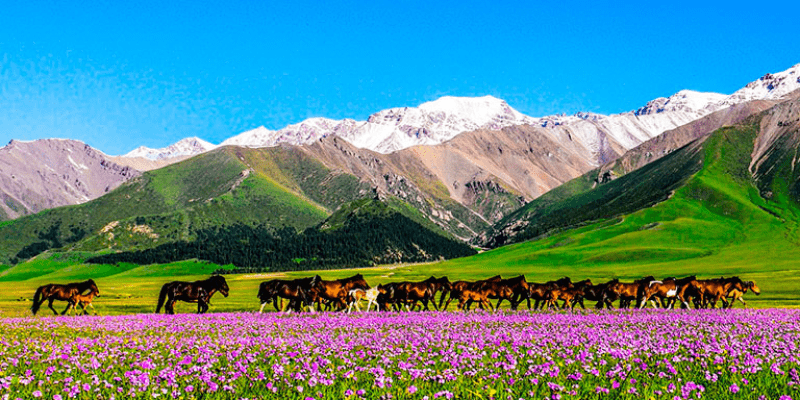 Kinh nghiệm lưu trú tiết kiệm tại Tân Cương