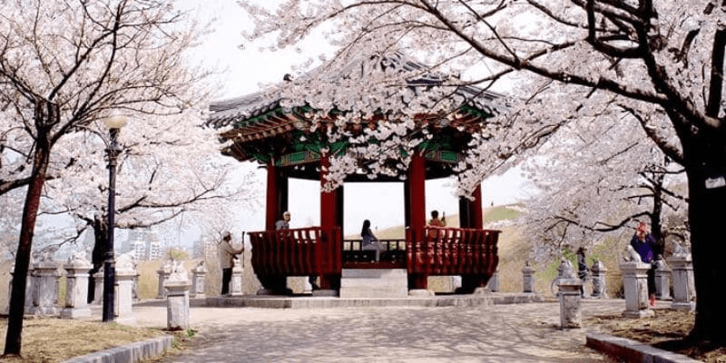 Lịch trình du lịch Hàn Quốc tự túc gợi ý 5 ngày 4 đêm