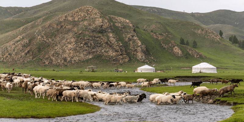 Lịch trình khám phá Mông Cổ tự túc 7 ngày gợi ý