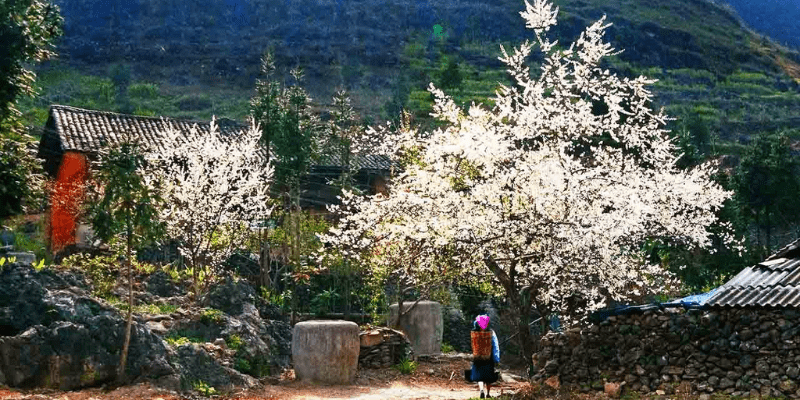 Lộ trình gợi ý cho chuyến du lịch bụi Hà Giang 4 ngày 3 đêm