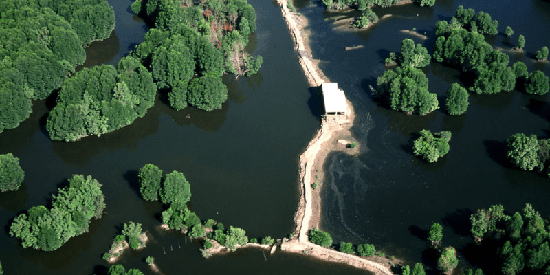 Tại sao nên du lịch bụi Cần Giờ