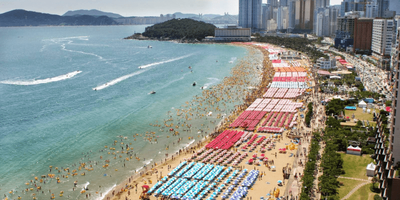 Thời điểm lý tưởng để du lịch Busan tự túc