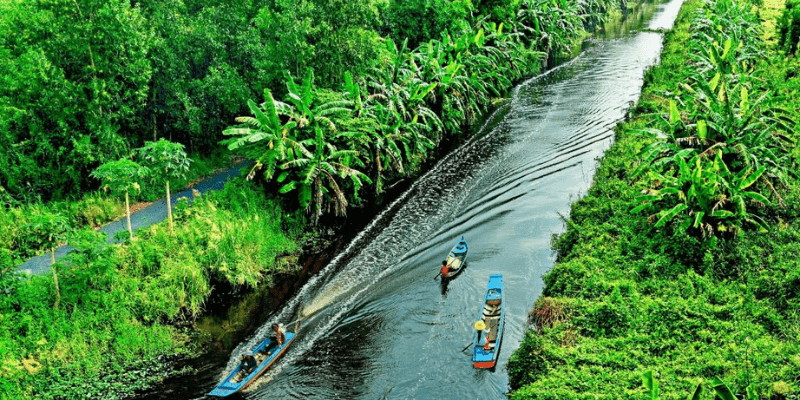 Thời điểm lý tưởng nhất để du lịch bụi Cà Mau